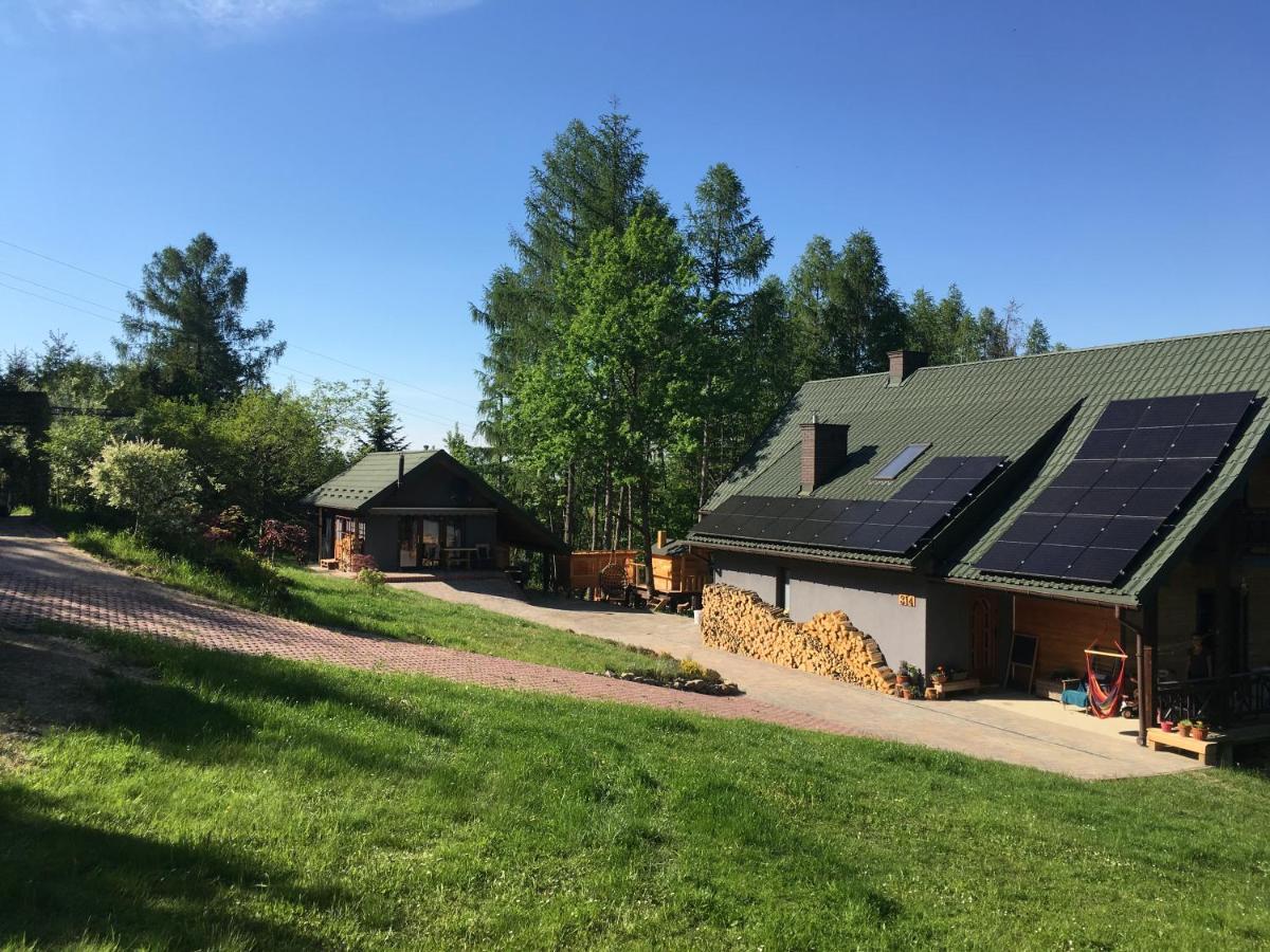 Wyspadrzewodomek Kamionna  Exteriér fotografie