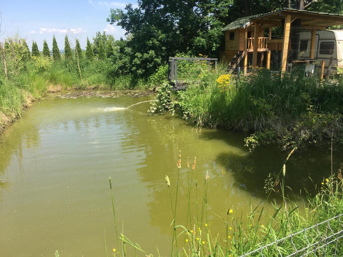 Wyspadrzewodomek Kamionna  Exteriér fotografie